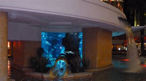 hotels near golden nugget|Top Hotels Closest to Golden Nugget from $81 .